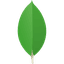 MongoDB